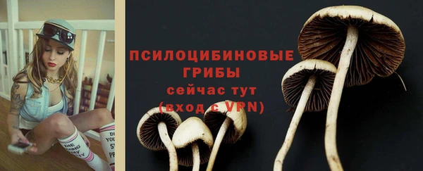СК Армянск