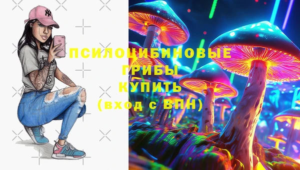 кокс Арсеньев