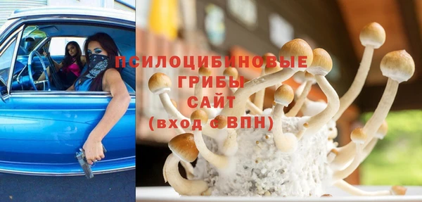кокс Арсеньев